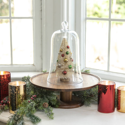 Glass Bell Cloche
