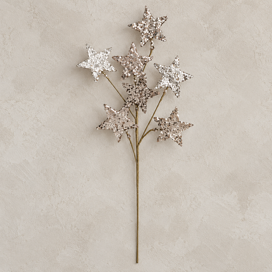 Glitter Star Pick (Champagne Gold)