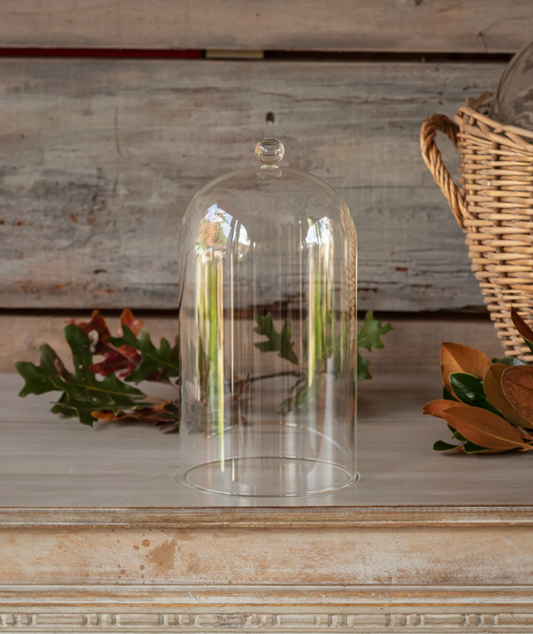 Large Glass Dome With Knob