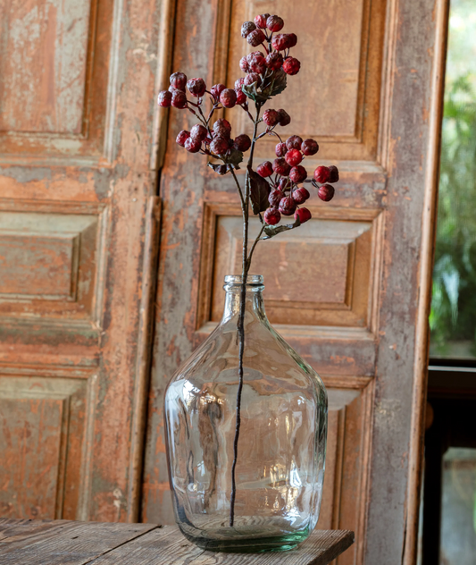 Dried Crabapple Stem (Ruby)