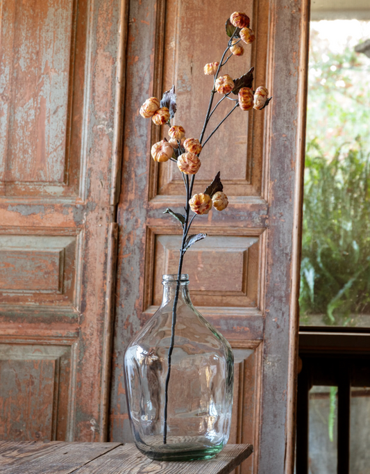 Dried Pumpkin Stem (Cream)