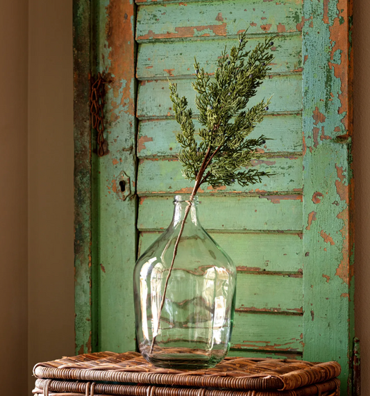 Juniper Stem