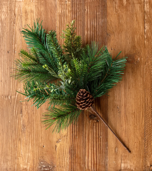Portland Evergreen Pick
